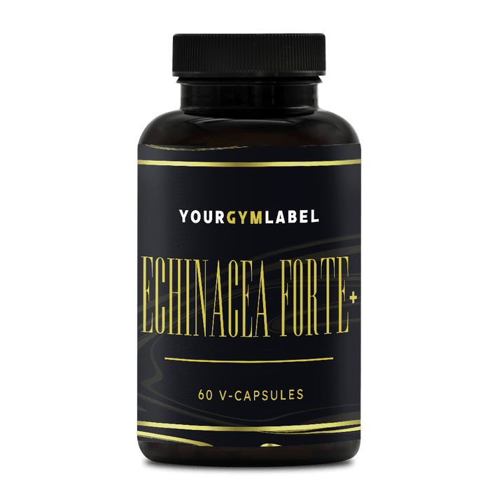 Echinacea Forte + - 60 V-capsules - YOURGYMLABEL